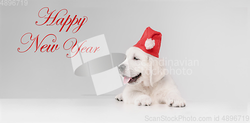 Image of Greeting flyer for ad. Concept of Christmas, 2021 New Year\'s, winter mood, holidays. Copyspace, postcard.