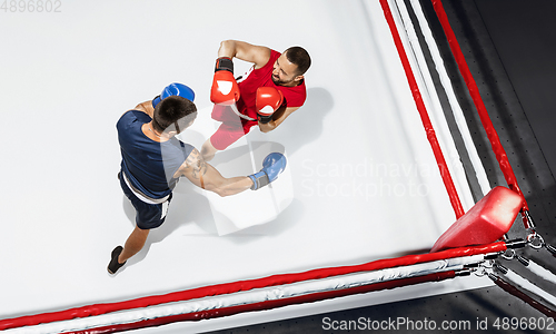 Image of Two professional boxers boxing on white background on the ring, action, top view