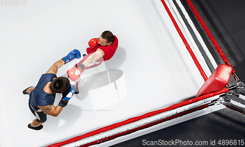 Image of Two professional boxers boxing on white background on the ring, action, top view