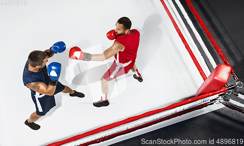 Image of Two professional boxers boxing on white background on the ring, action, top view