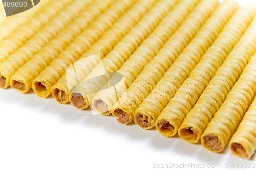 Image of wafer tubules