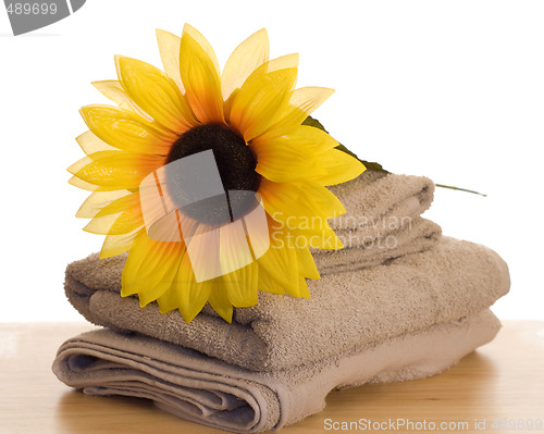 Image of Relaxation Time