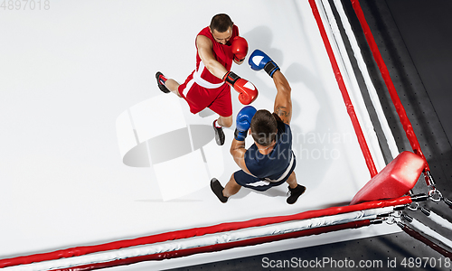 Image of Two professional boxers boxing on white background on the ring, action, top view