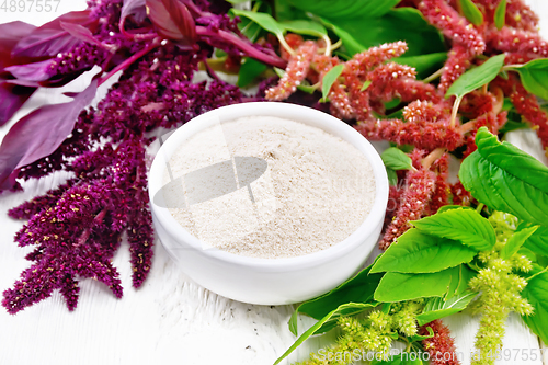 Image of Flour amaranth in bowl on light board