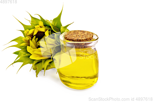 Image of Oil sunflower in jar with flower