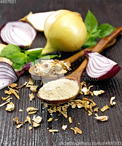 Image of Onion powder and flakes in spoons on table