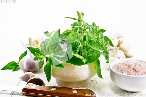 Image of Oregano fresh in mortar on light board