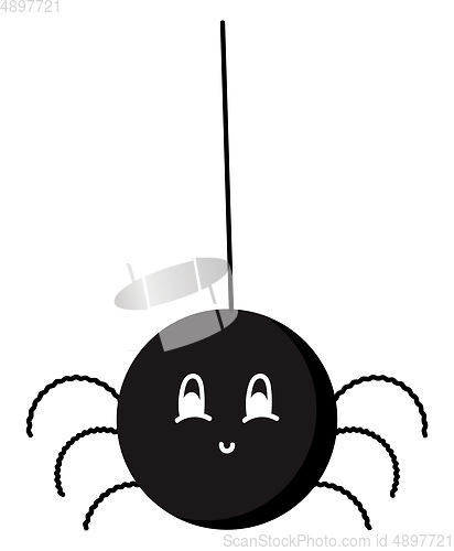 Image of Image of black spider, vector or color illustration.