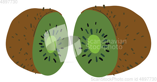 Image of Image of cut kiwi - kiwi fruit, vector or color illustration.