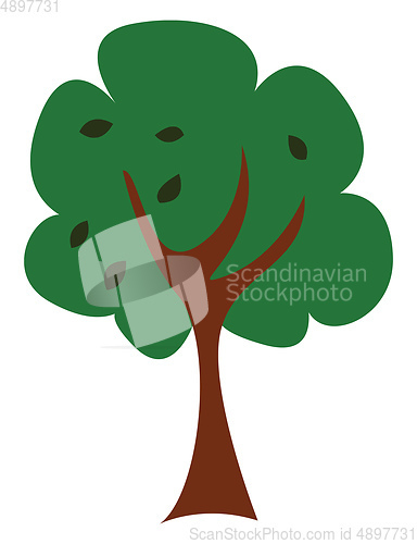 Image of A tree/Woody perennial plant, vector or color illustration. 