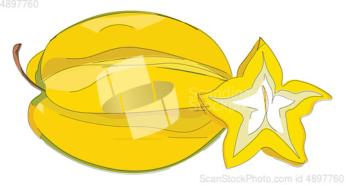 Image of Star fruit, vector or color illustration.