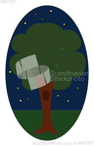 Image of Night tree, vector or color illustration.