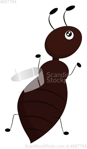 Image of Image of ant, vector or color illustration.