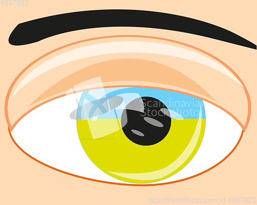 Image of Eye of the person and pupil of an eye flag Ukraines