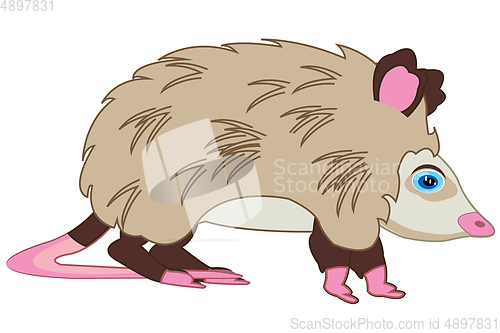 Image of Animal opossum on white background is insulated