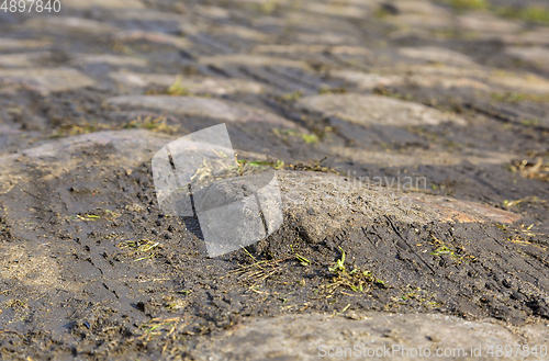 Image of Cobblestone Road- Detail