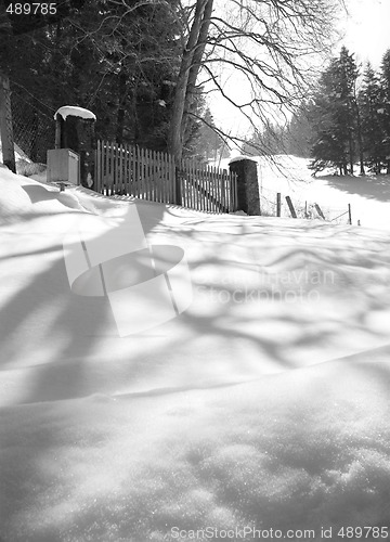 Image of Winter Landscape