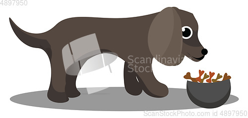 Image of Image of dog eating, vector or color illustration.