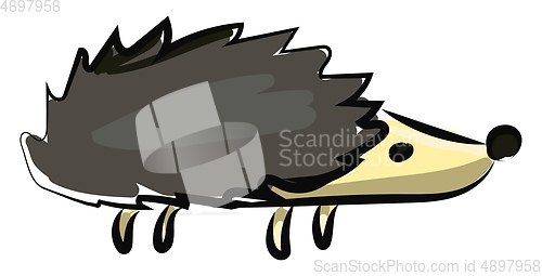 Image of hedgehog, vector or color illustration.