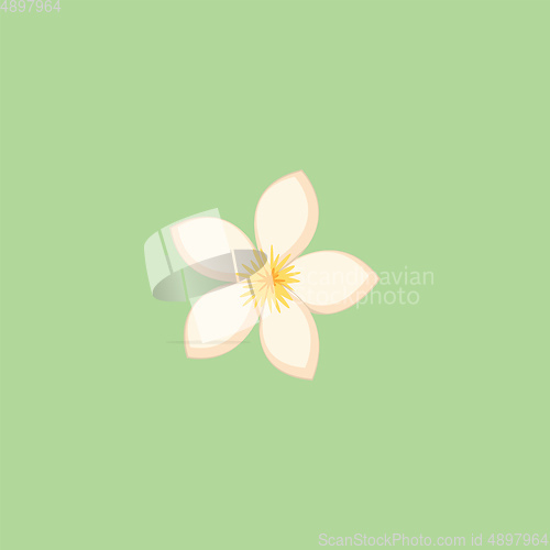 Image of Spa flower, vector or color illustration.