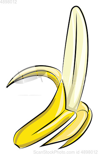 Image of Image of banana, vector or color illustration.