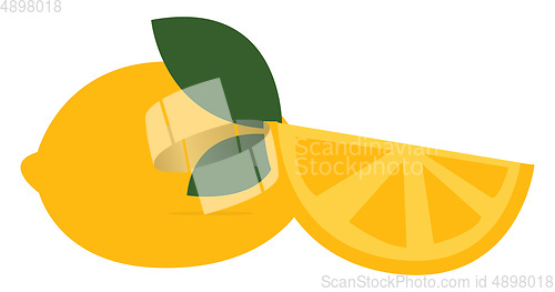 Image of lemon with green leaves, vector or color illustration.