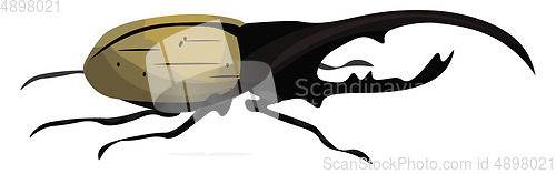 Image of Hercules beetle, vector or color illustration.