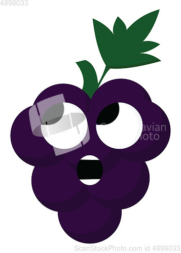 Image of Grapes, vector or color illustration.