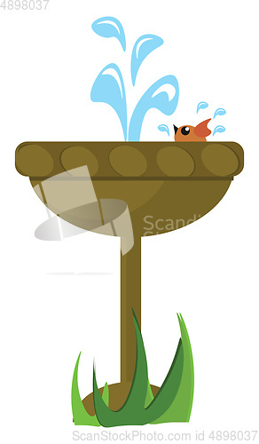 Image of Image of bird bathing in fountain, vector or color illustration.