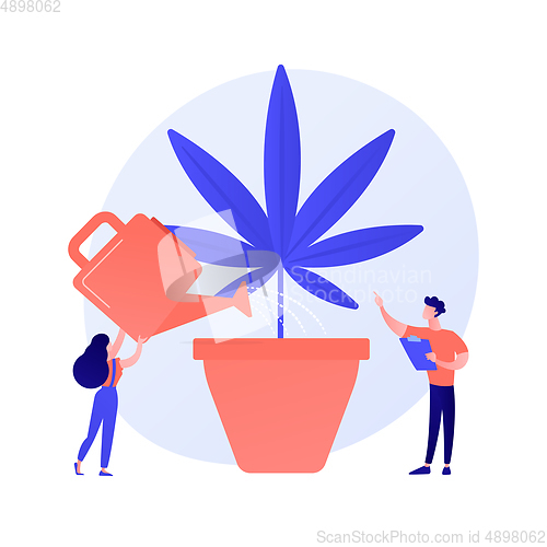 Image of Hemp growing vector concept metaphor