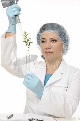 Image of Botanical Experiment