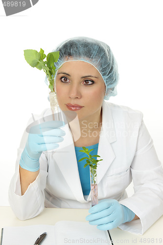 Image of Botanical scientist