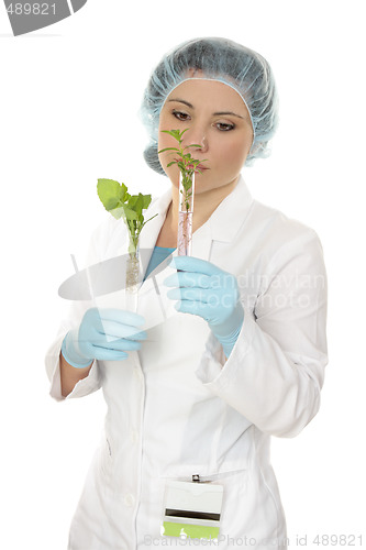 Image of Scientist with test tubes