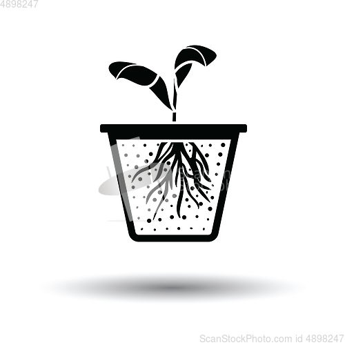 Image of Seedling icon