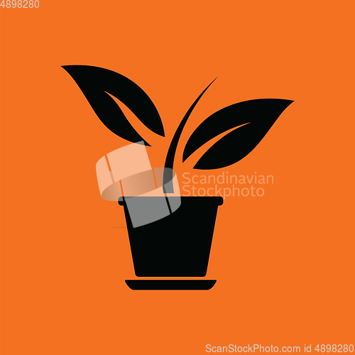 Image of Plant in flower pot icon