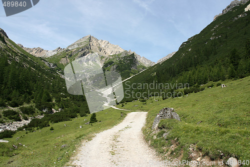 Image of Alpine valley