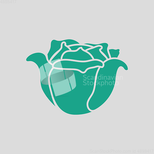 Image of Cabbage icon