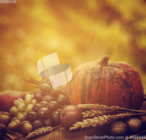 Image of Autumn Concept