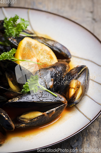 Image of Mussels