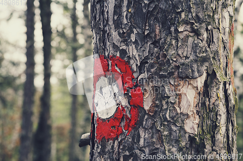 Image of Sign on the tree