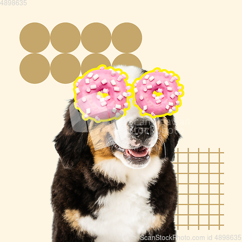 Image of Modern design, contemporary art collage with cute doggies