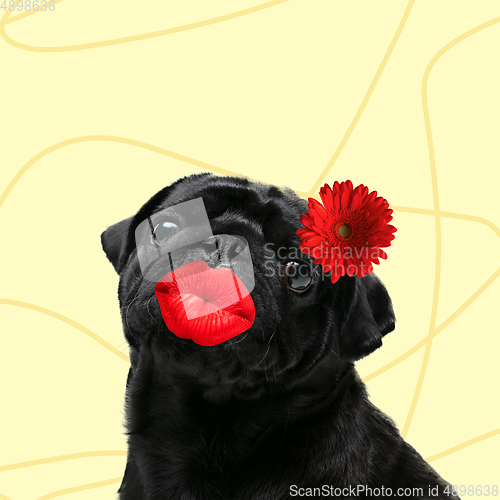 Image of Modern design, contemporary art collage with cute doggies