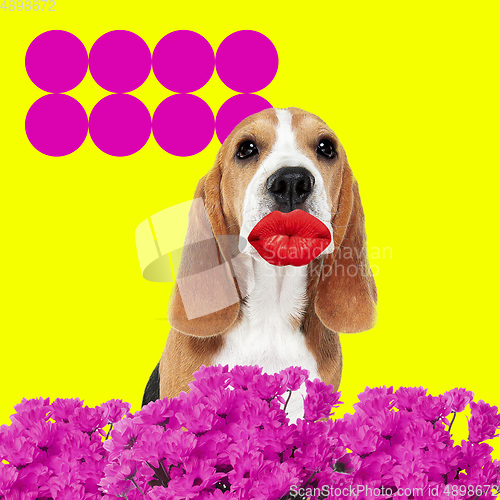 Image of Modern design, contemporary art collage with cute doggies