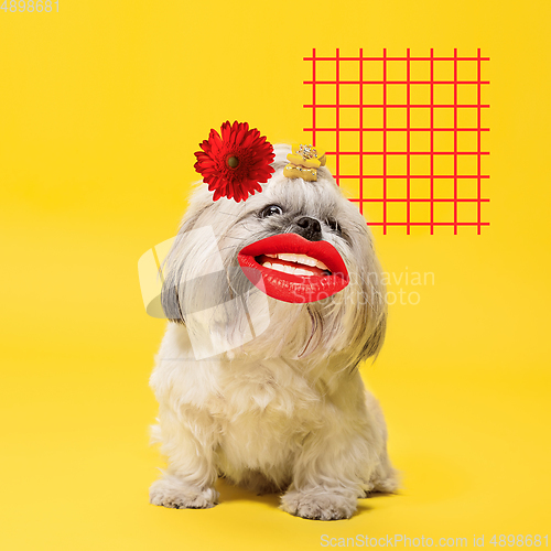 Image of Modern design, contemporary art collage with cute doggies