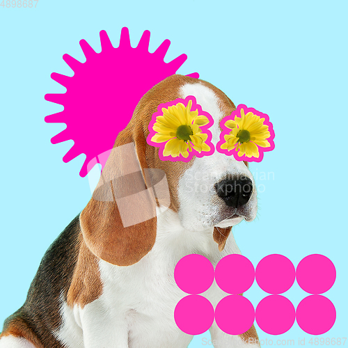 Image of Modern design, contemporary art collage with cute doggies