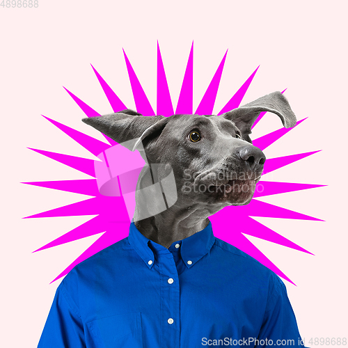 Image of Modern design, contemporary art collage with cute doggies