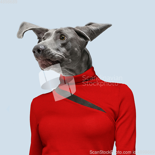 Image of Modern design, contemporary art collage with cute doggies