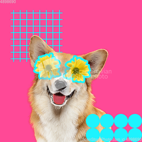 Image of Modern design, contemporary art collage with cute doggies