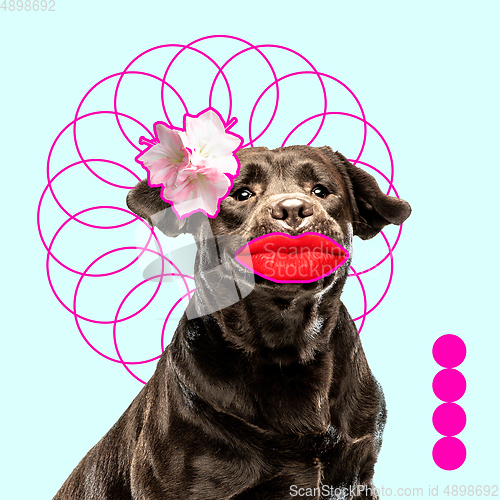 Image of Modern design, contemporary art collage with cute doggies