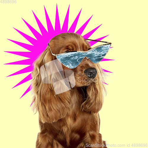 Image of Modern design, contemporary art collage with cute doggies